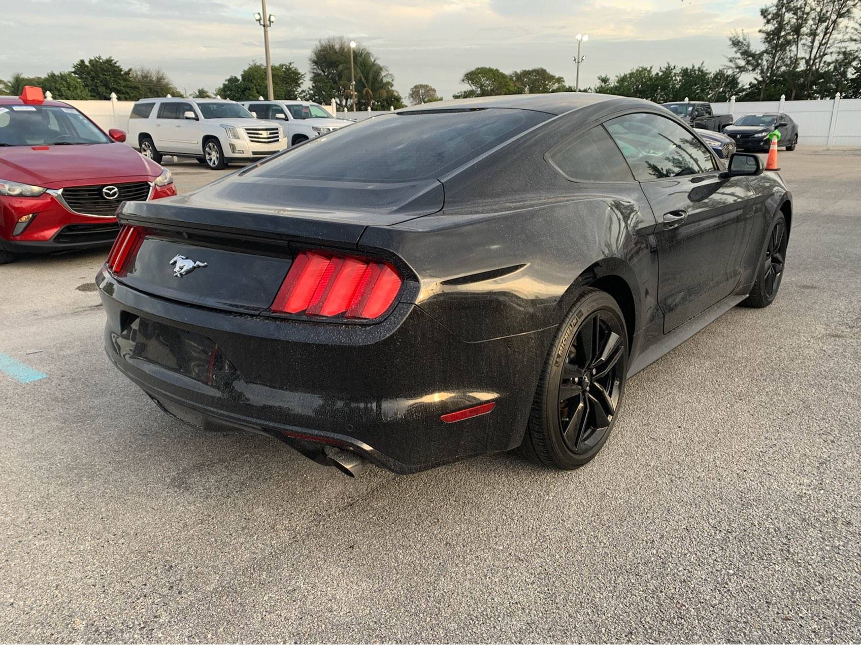 Florida Fine Cars - Used Ford Mustang 2017 MIAMI ECOBOOST