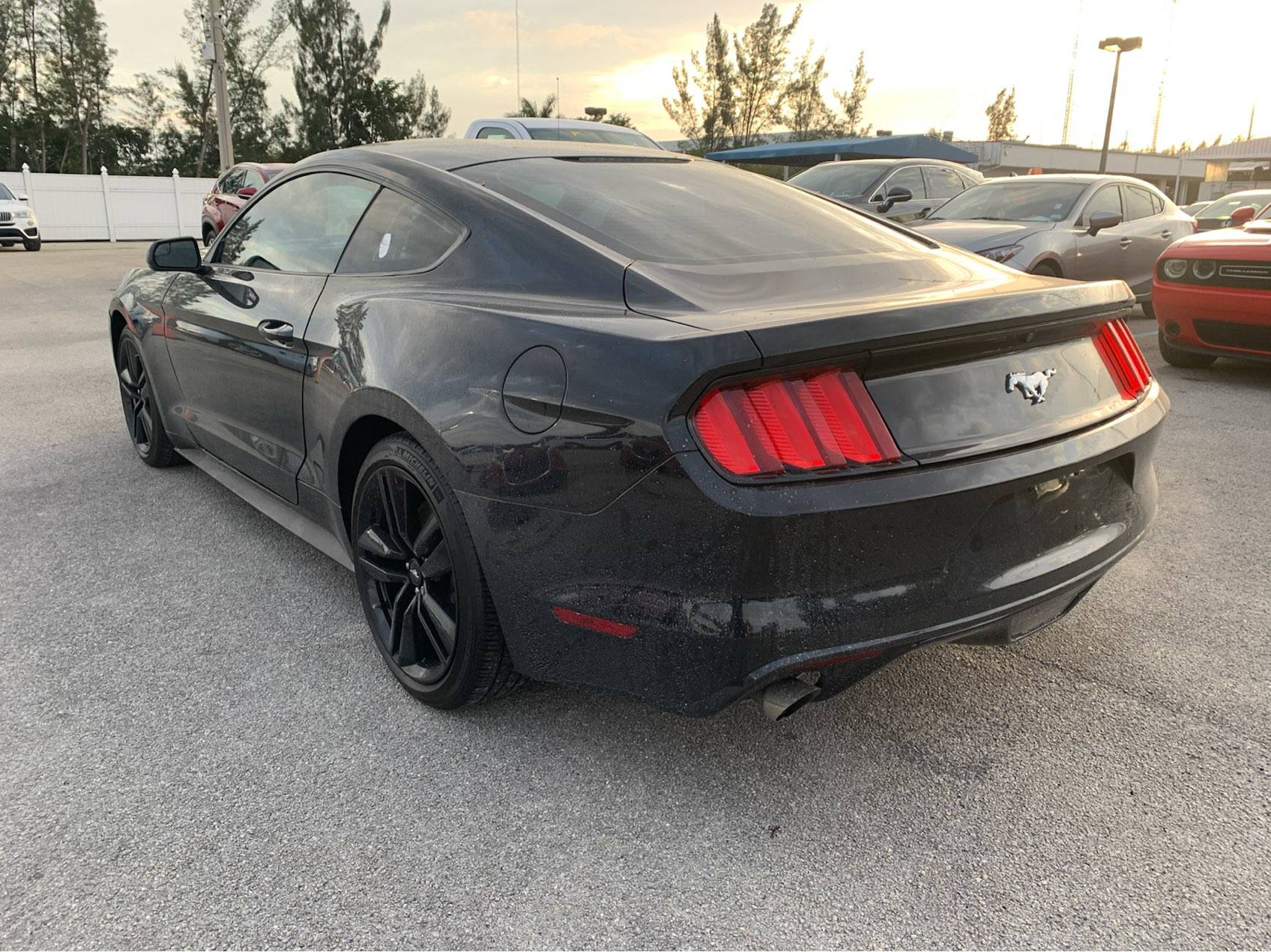 Florida Fine Cars - Used Ford Mustang 2017 MIAMI ECOBOOST