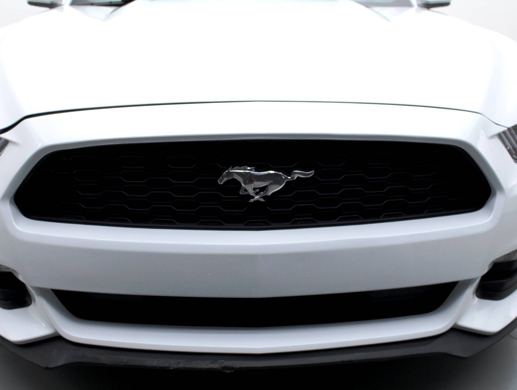 Florida Fine Cars - Used FORD MUSTANG 2016 WEST PALM 