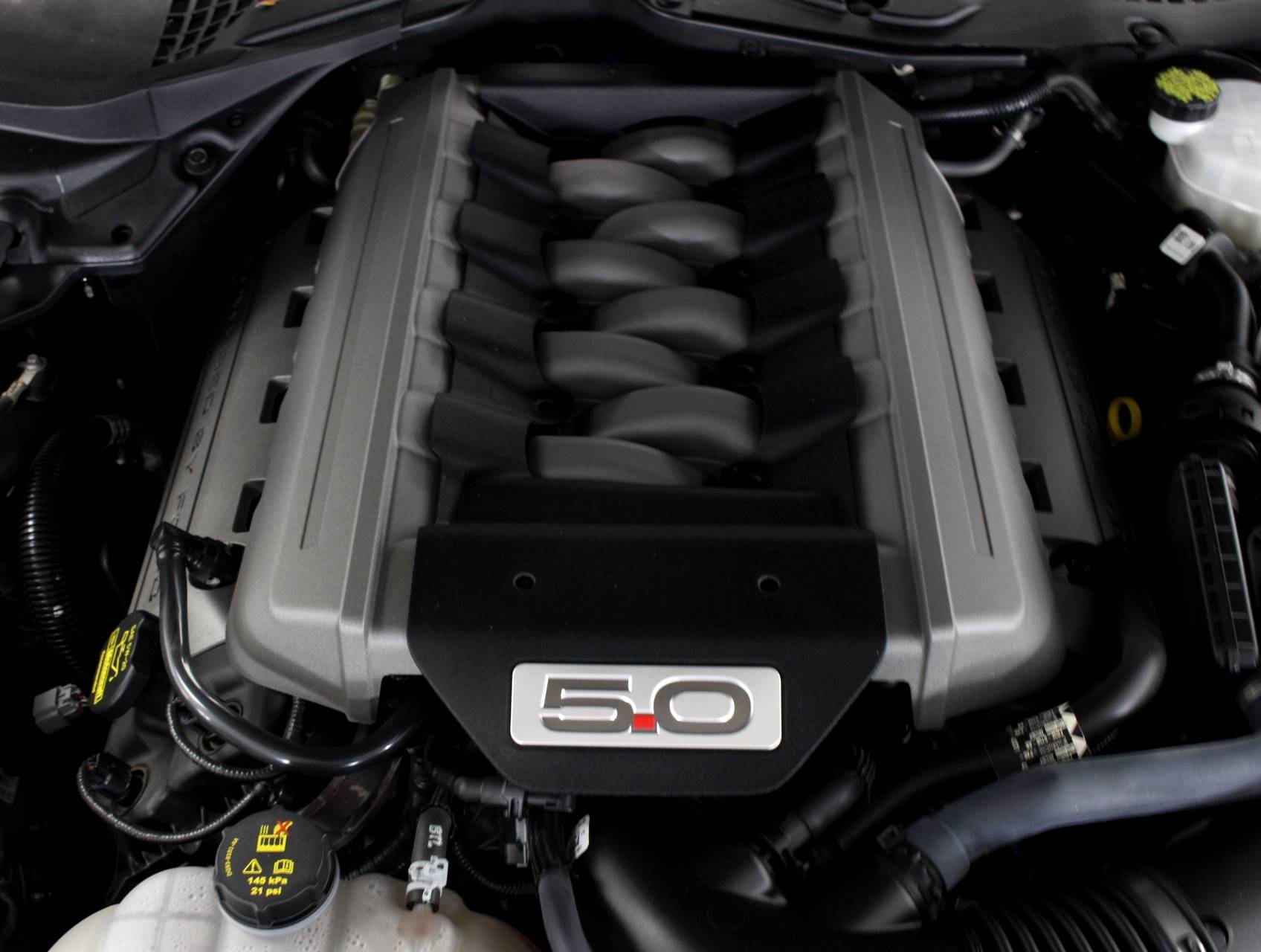 Florida Fine Cars - Used FORD MUSTANG 2015 WEST PALM Gt Premium