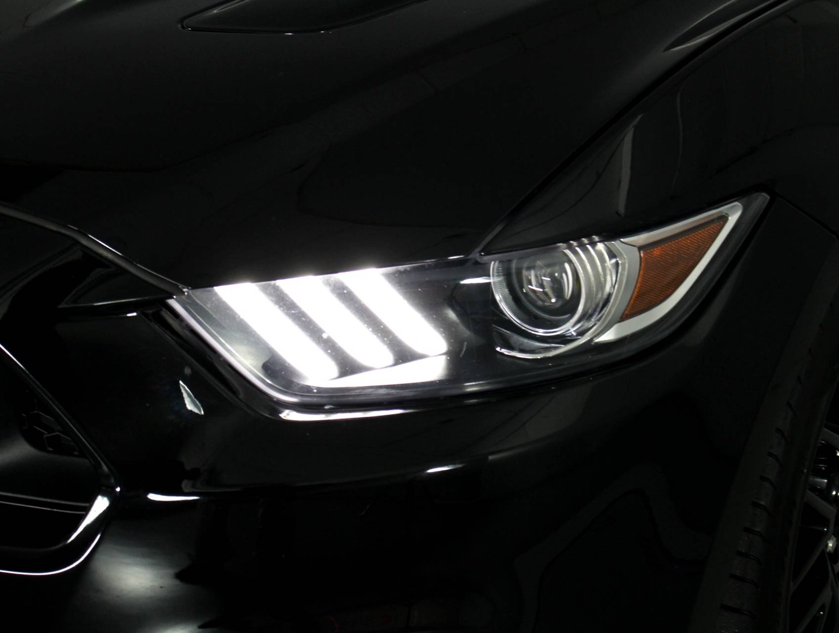 Florida Fine Cars - Used FORD MUSTANG 2015 WEST PALM Gt Premium