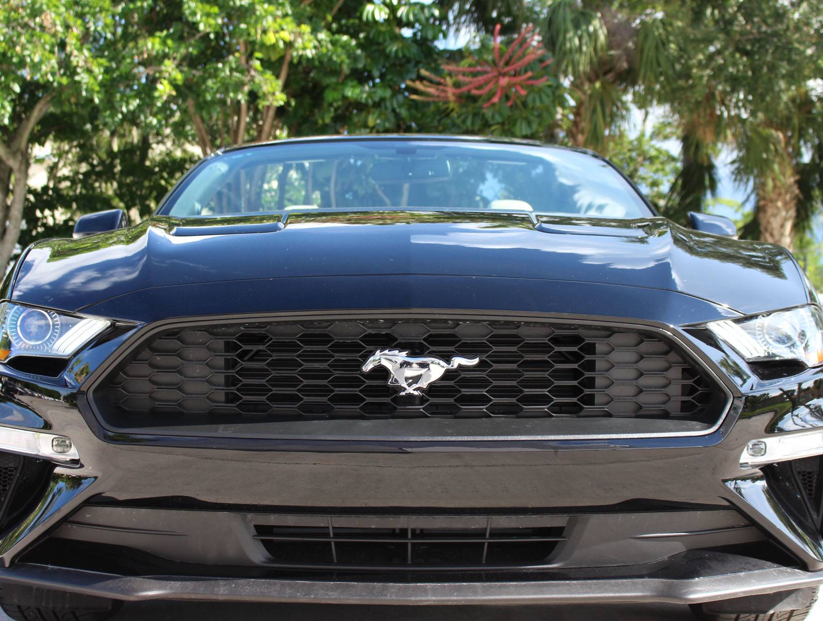 Florida Fine Cars - Used FORD MUSTANG 2018 WEST PALM Ecoboost Premium