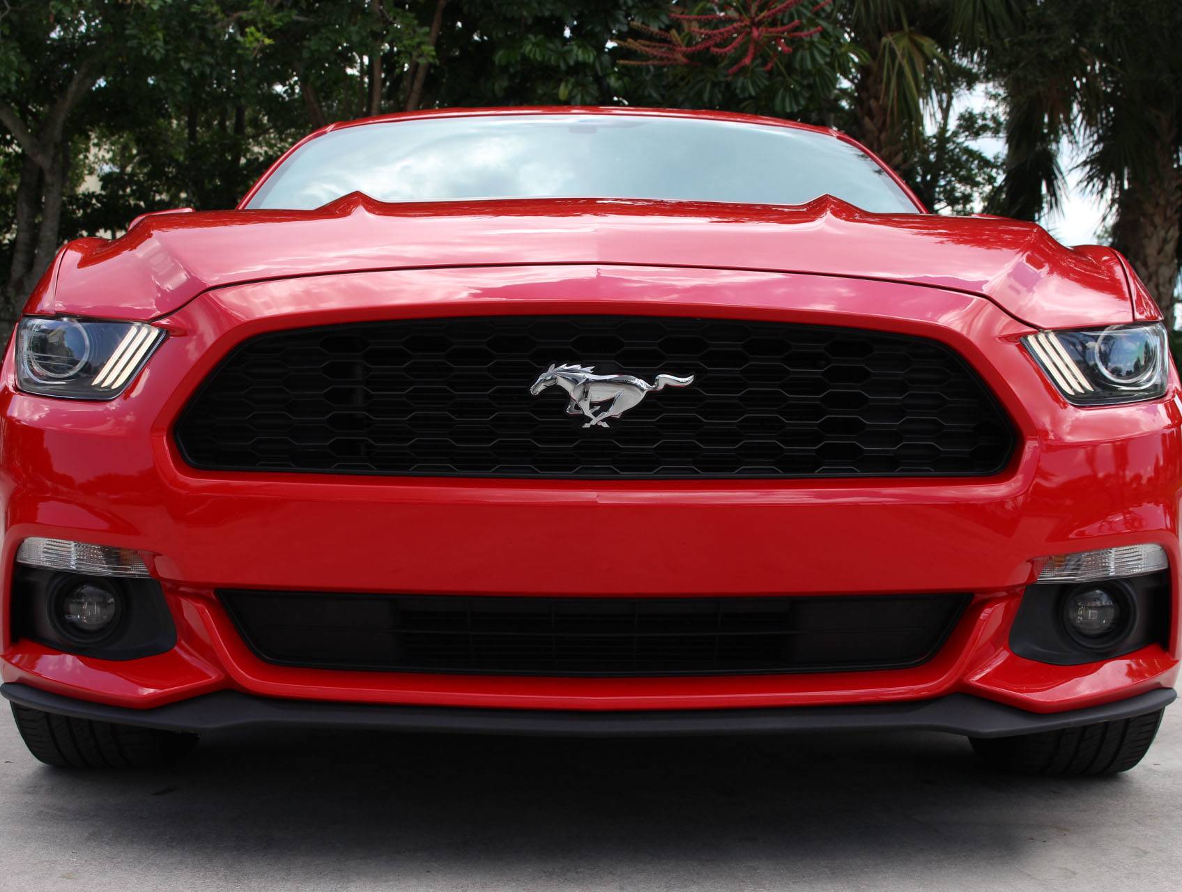 Florida Fine Cars - Used FORD MUSTANG 2015 MARGATE V6